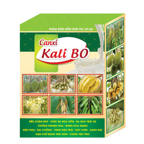 canxi-kali-bo